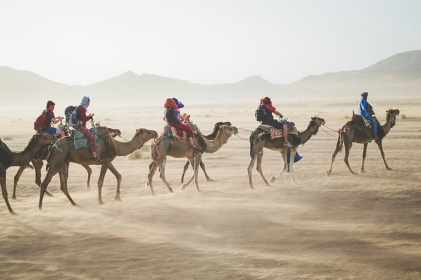 Corporate Travel Concierge by MudMaps image on Nomad Stays