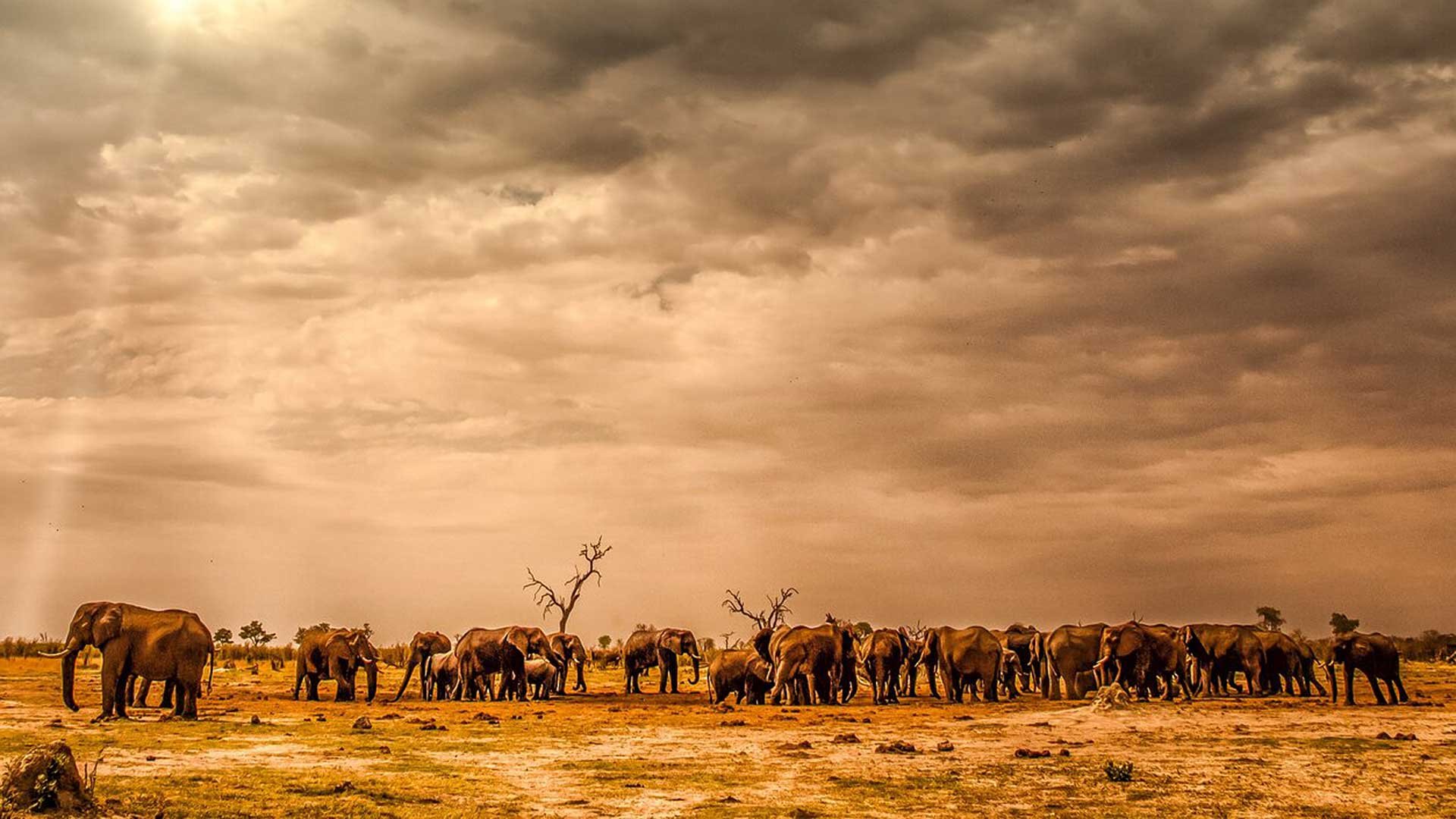 Locations Botswana Southeast Botswana image