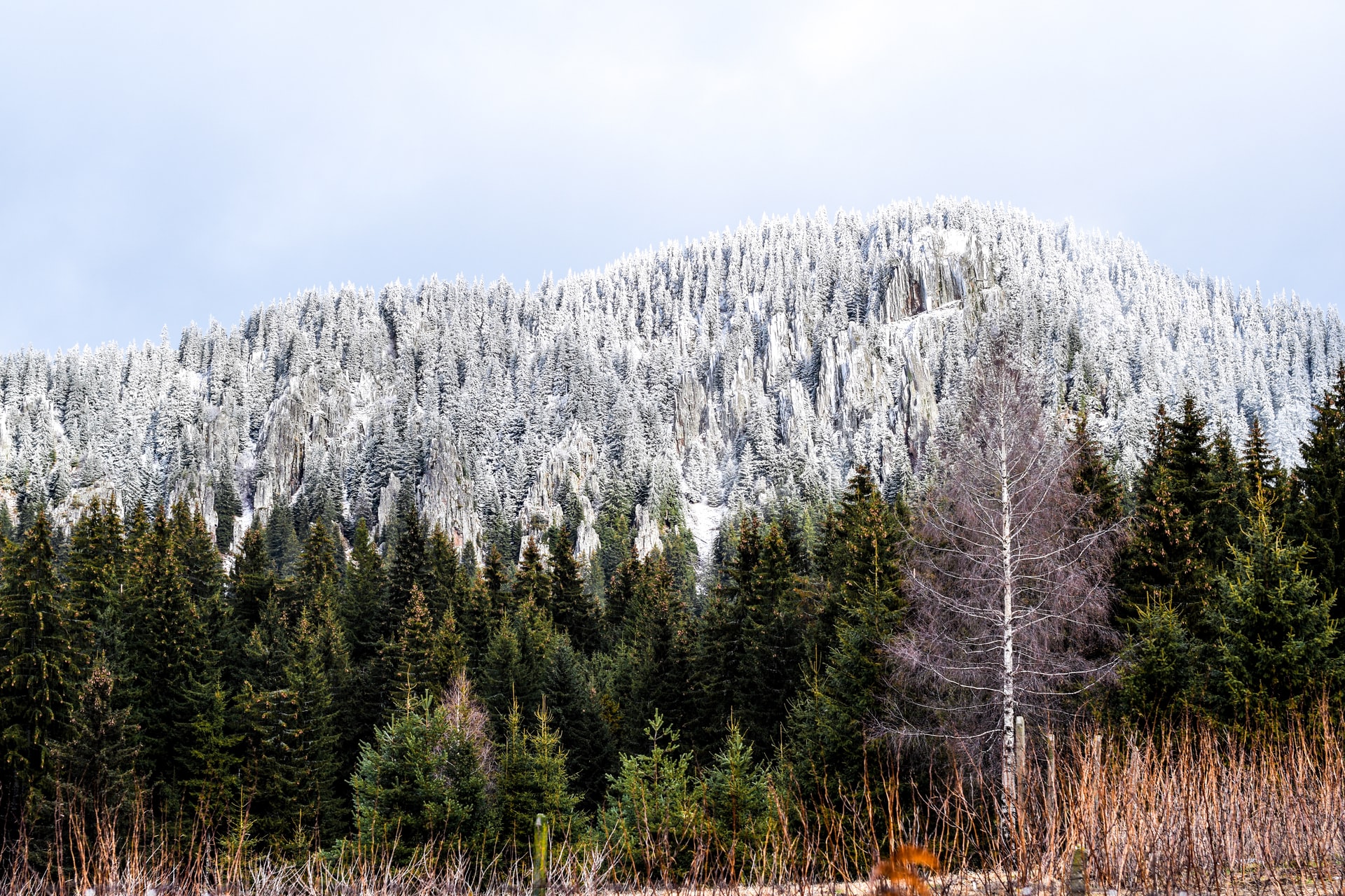 Locations Bulgaria Rhodopes image