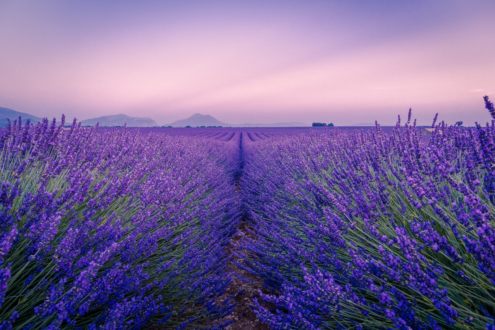 Locations France Provence Alpes Cote d'Azur image