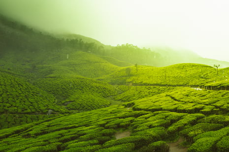 India digital nomad accommodation