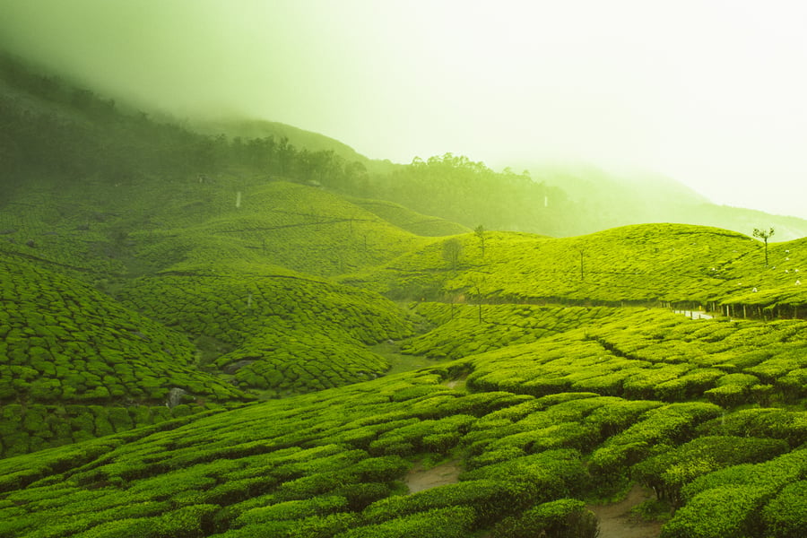 India for digital nomads