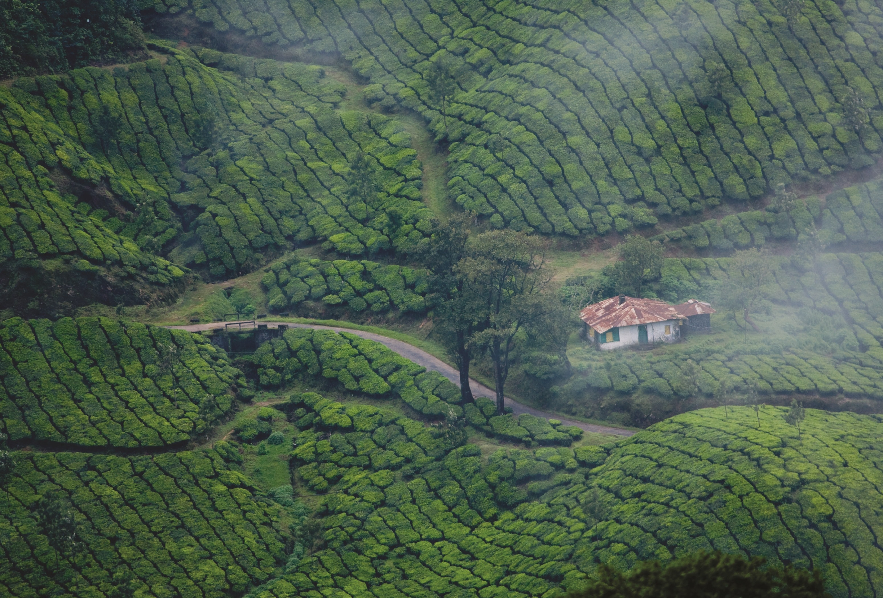 Locations India Kerala image