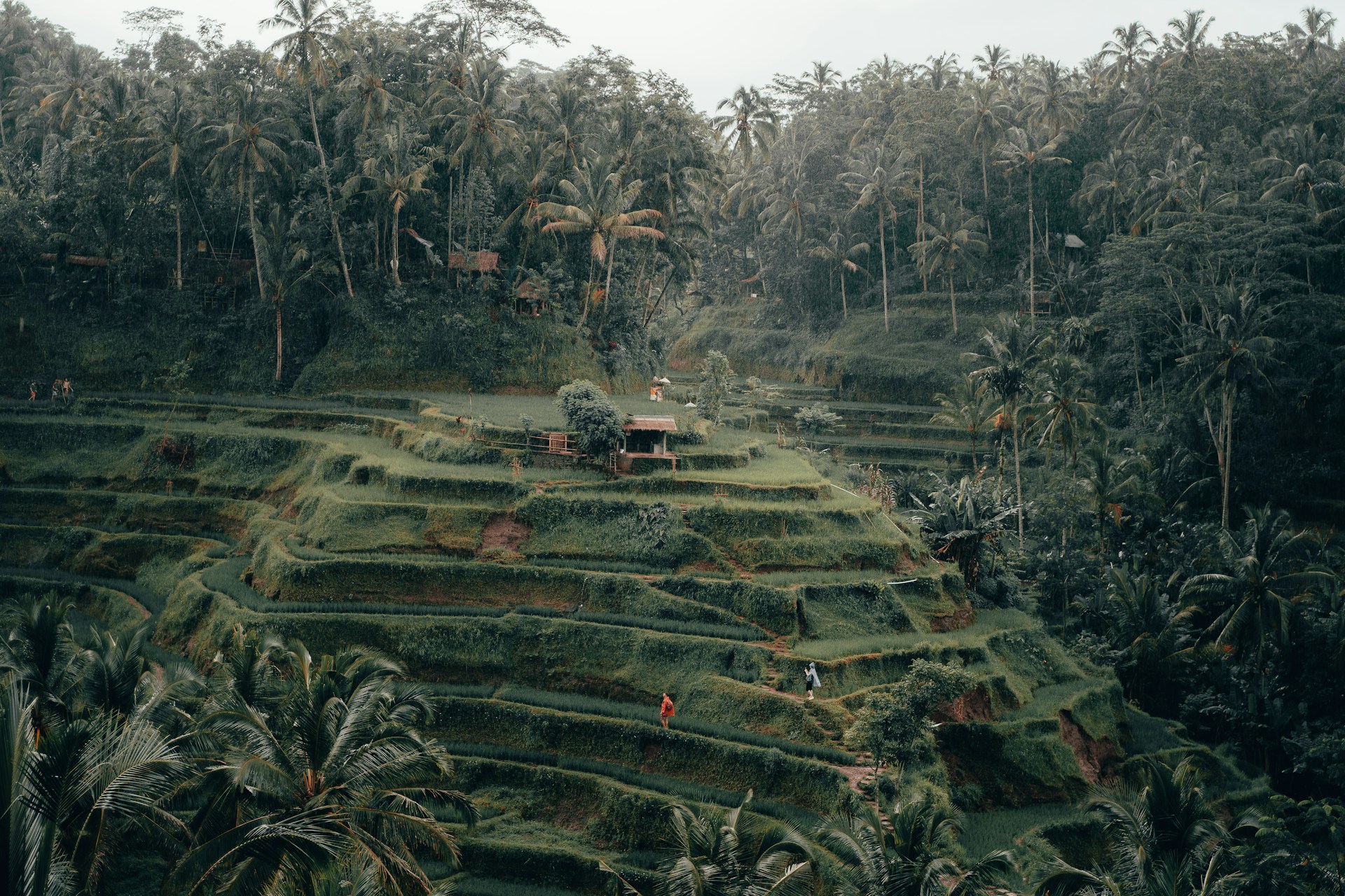 Locations Indonesia Ubud image