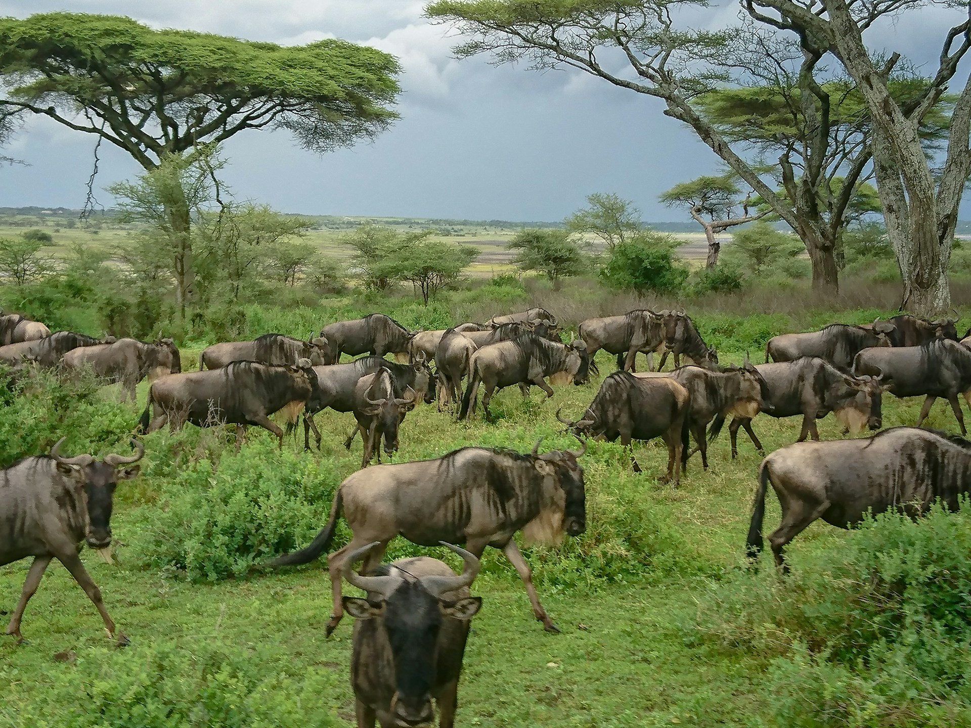 Locations Kenya Mombasa and Surrounding Area image