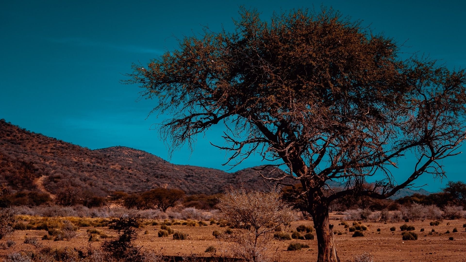 Locations Namibia Windhoek image