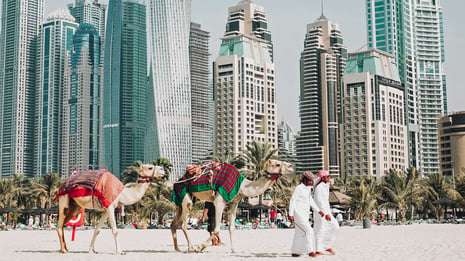 United Arab Emirates digital nomad accommodation