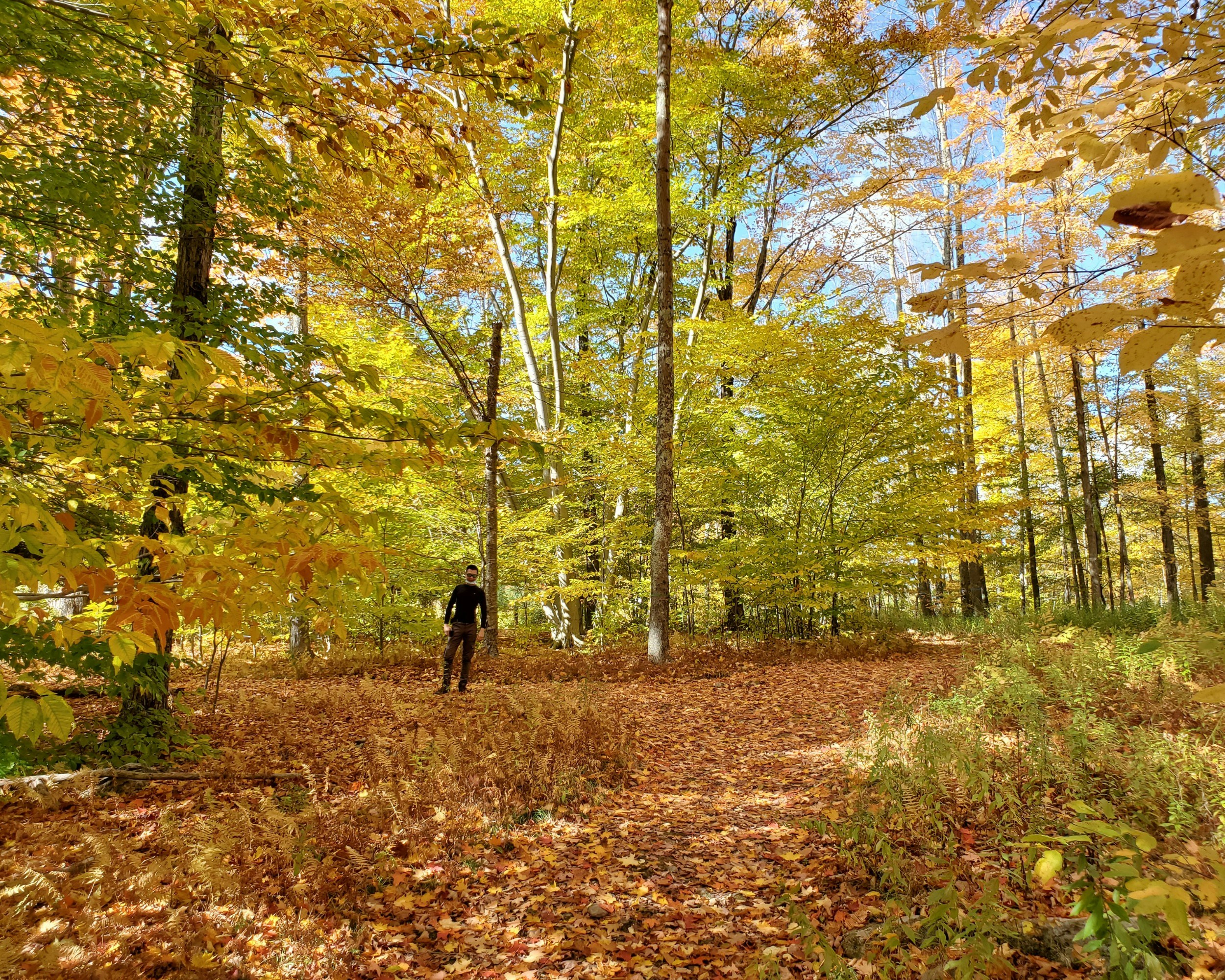 Locations United States Upstate New York image