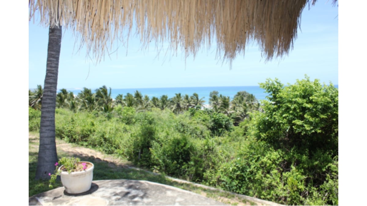 Hotel Massinga Mozambique nomad remote 065f1aea-cf71-4616-b1d9-7e9e10eb977e_A9C3424599994FBAB466BF1C3558D291.jpeg