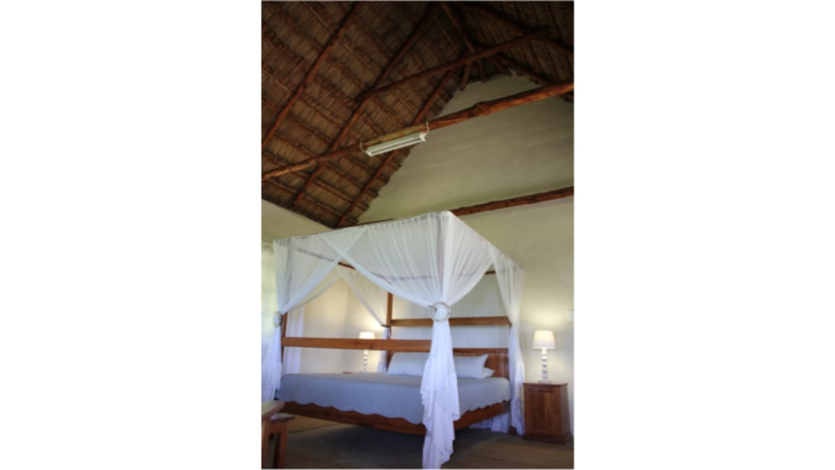 Hotel Massinga Mozambique nomad remote 23366f13-ab84-4554-a535-d8a04eb5de73_6B60731F92BF40E18D5C1AEDA610138B.jpeg