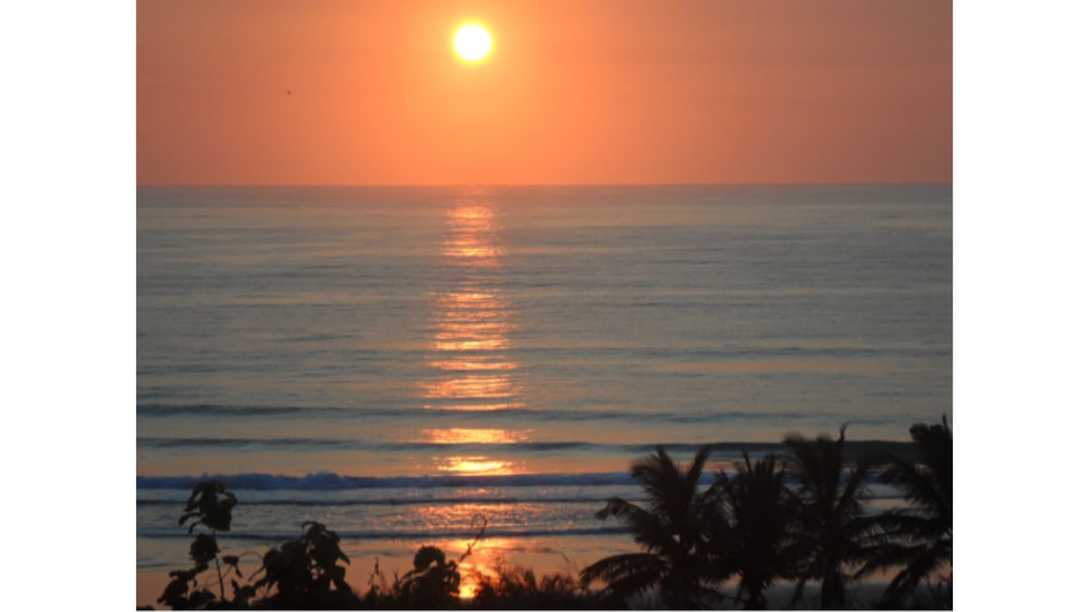 Hotel Massinga Mozambique nomad remote 3c86774a-aa44-4f49-8537-782d1e78537a_F25A299D6CB0480997562C7178F9B3F0.jpeg
