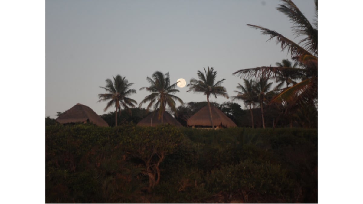 Hotel Massinga Mozambique nomad remote 72940574-c62e-4326-b1f0-bc9e762b5101_D1176897136C4F58AFBDD62B472876AE.jpeg