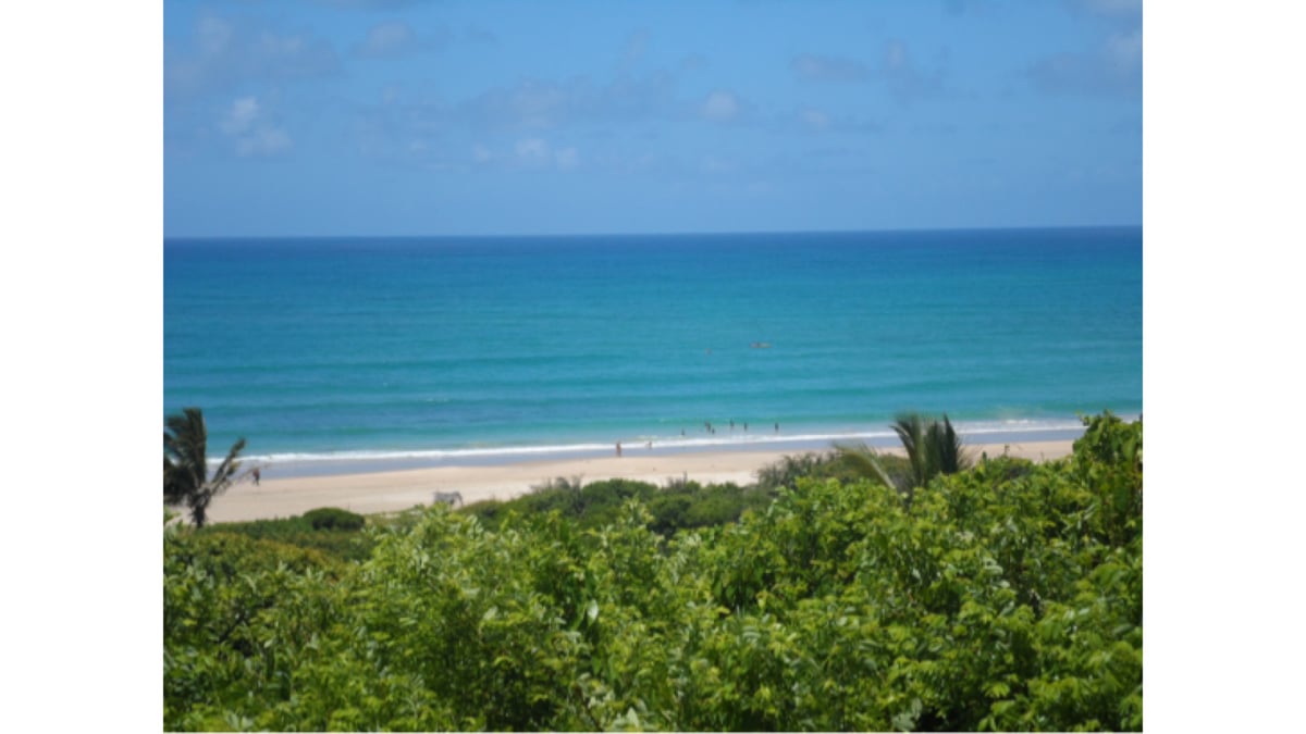 Hotel Massinga Mozambique nomad remote 9032fcde-10a6-4e09-9489-ae5e24e19c72_D2907458F2A449AF8DDD952EF2E00E41.jpeg