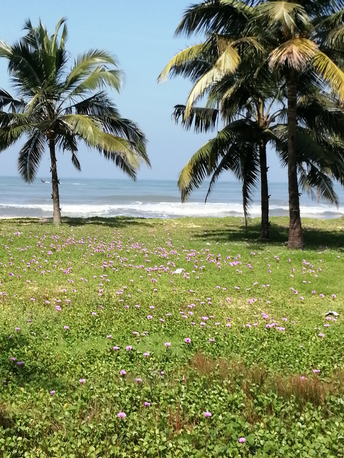 Hotel Thrissur India nomad remote 45d94b02-2e7e-42c1-91bf-a81dcc3cd989_IMG20210909095928.jpg
