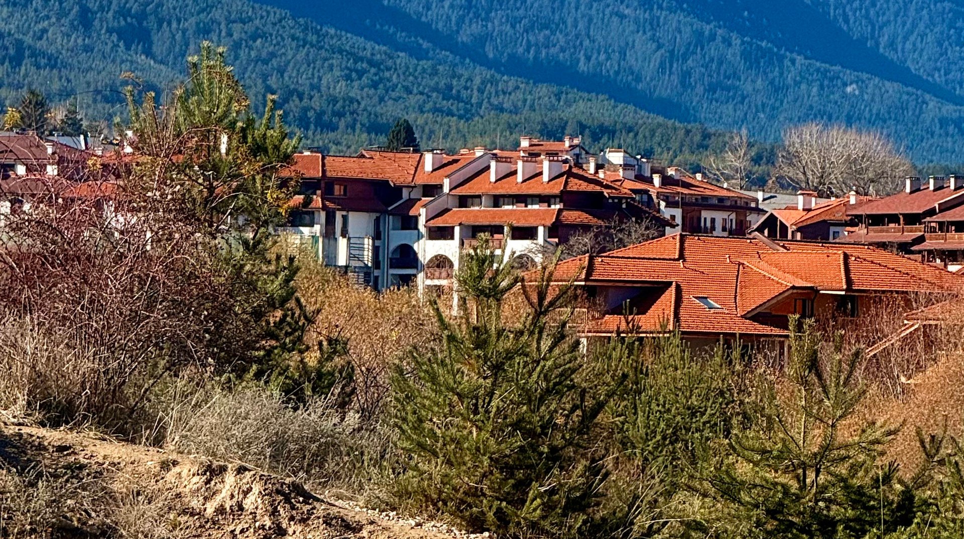 Hotel Bansko Bulgaria nomad remote dd33f52e-2c11-4fec-ba68-dd8a623cd75f_IMG0913.jpeg