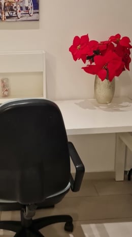 Belle Verte Work Slow Living workspace image
