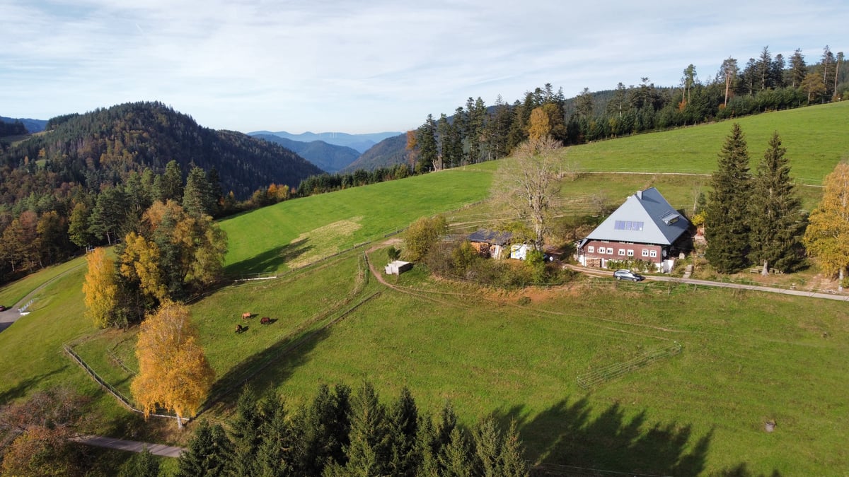 Hotel Triberg im Schwarzwald Germany nomad remote 206646dd-5fb7-41a0-bf18-a600004fb8cd_Haus02.JPG