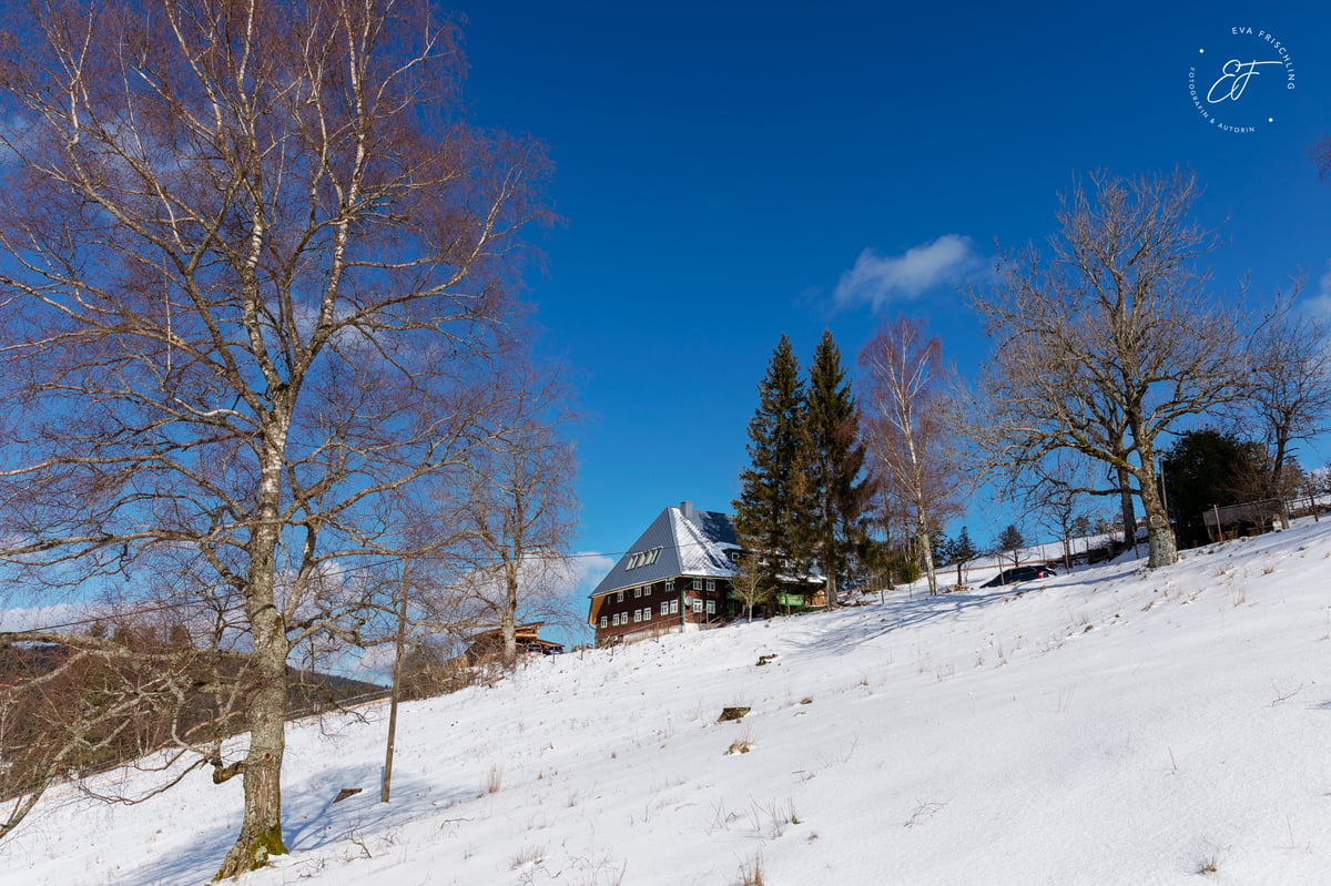 Hotel Triberg im Schwarzwald Germany nomad remote 854b3c74-7938-49cc-884c-f3e65cc78871_Haus06.jpg