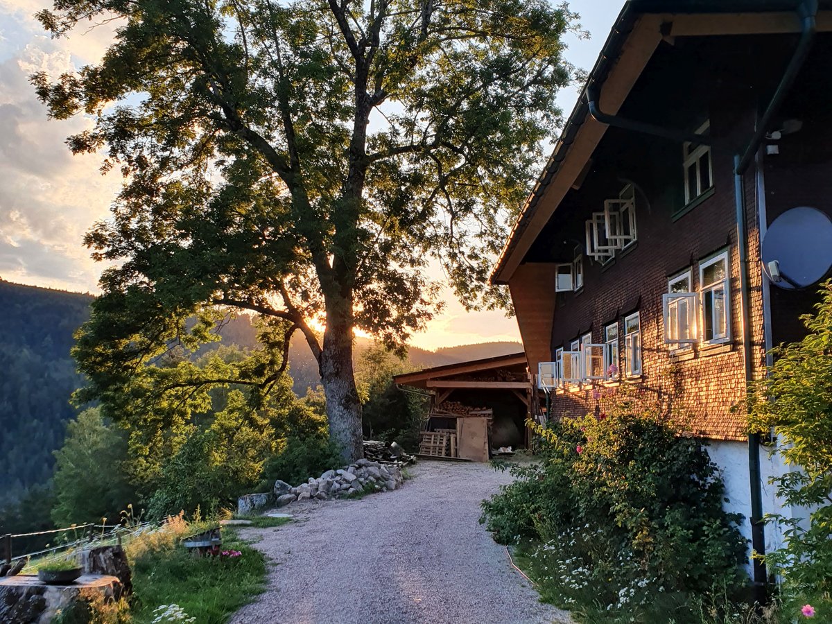 Hotel Triberg im Schwarzwald Germany nomad remote ca1317a1-3bad-480e-8b6c-eda8d6ec23e8_Haus03.jpg