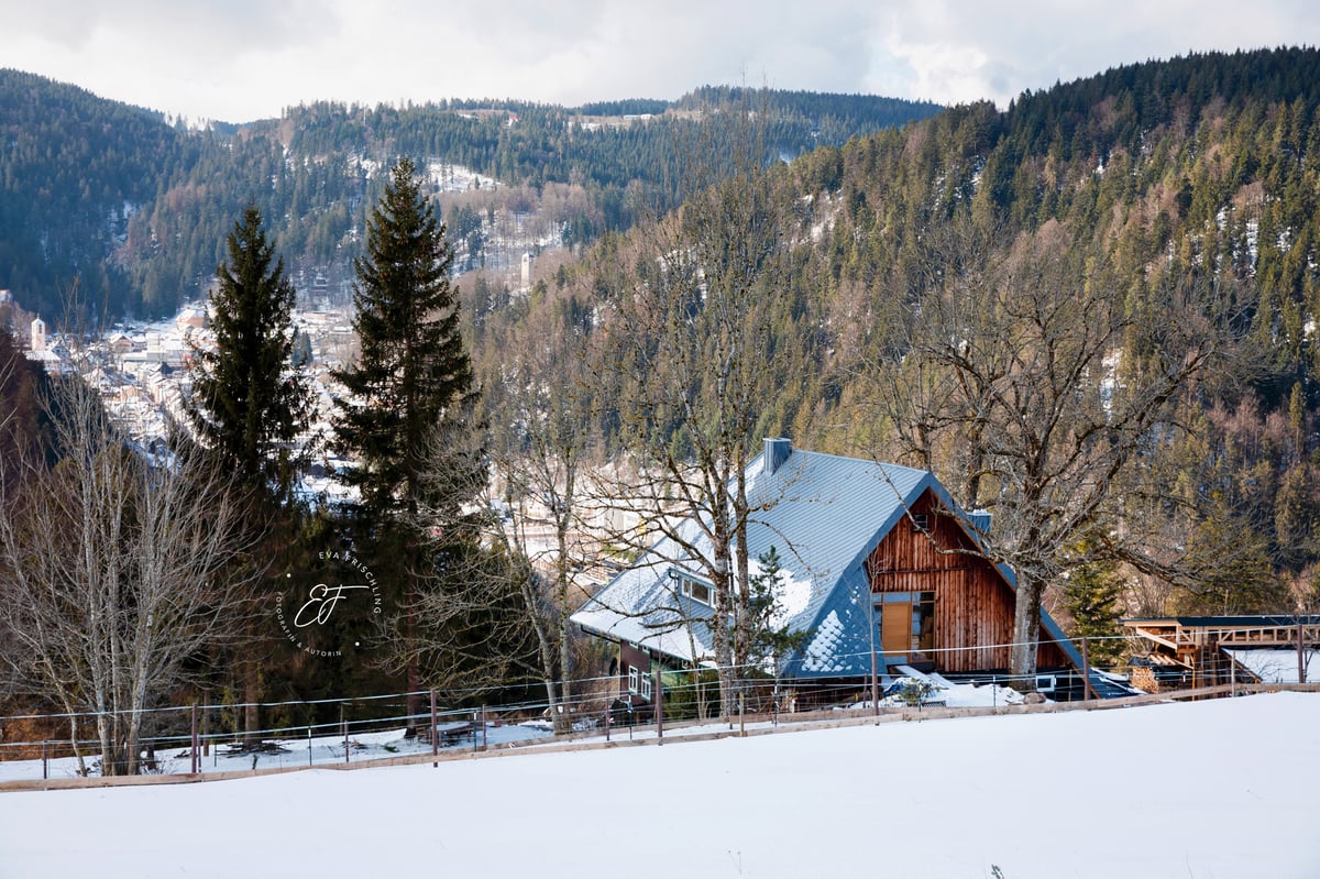 Hotel Triberg im Schwarzwald Germany nomad remote ebd5b60d-f54c-41f4-8184-2ea04678282a_Haus08.jpg