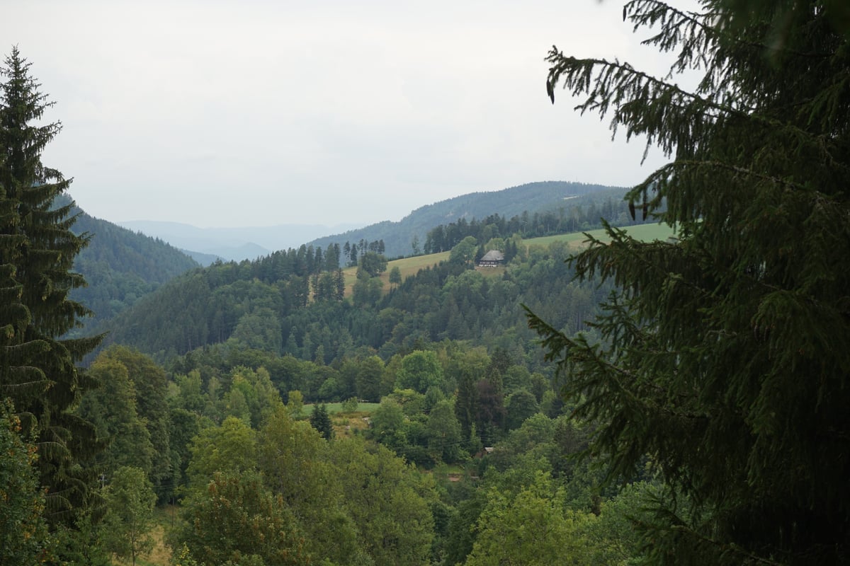 Hotel Triberg im Schwarzwald Germany nomad remote f3a821bf-bc3e-4ad4-805e-d986e6a6ad8d_Haus04.jpg