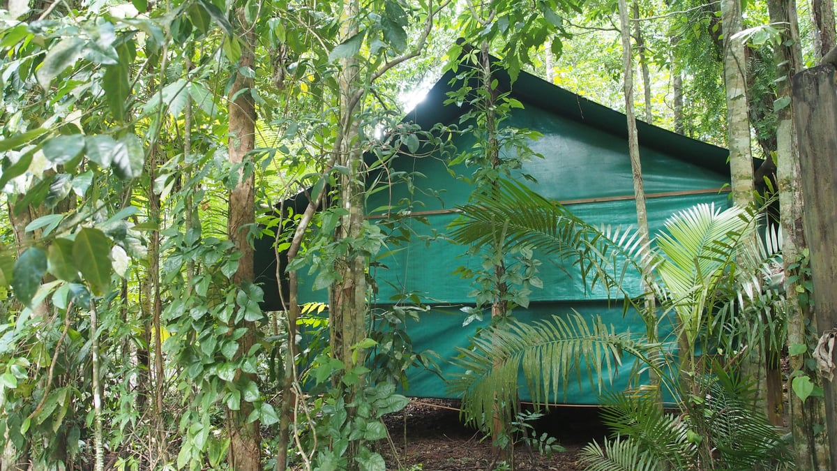 Hotel Cow Bay Australia nomad remote 3ba4c3db-b1c4-4f49-8856-6d6917130155_SafariHut-WHole 2.JPG