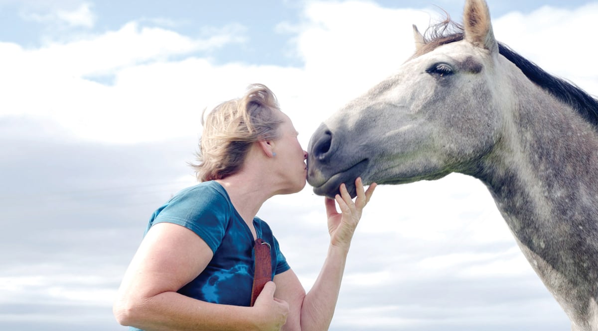 Hotel Drakensberg / Giants Castle South Africa nomad remote 4c5684b7-0f60-45a0-b084-01d97a7d8ada_we-love-our-horses.jpg