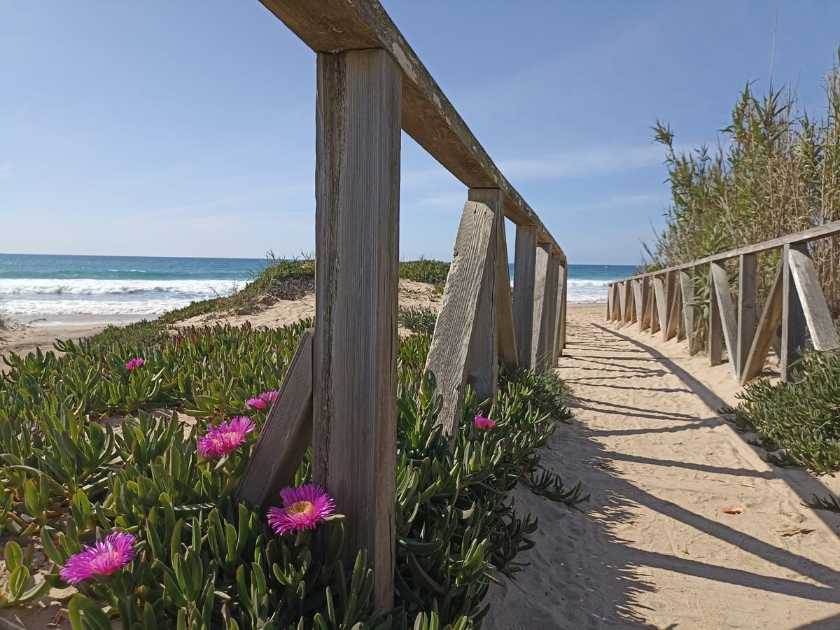 Hotel Conil de la Frontera Spain nomad remote 3f7b4e79-b7da-450a-9ed7-ff46ef33f4d9_WhatsApp Image 2022-07-02 at 1.44.54 PM.jpg