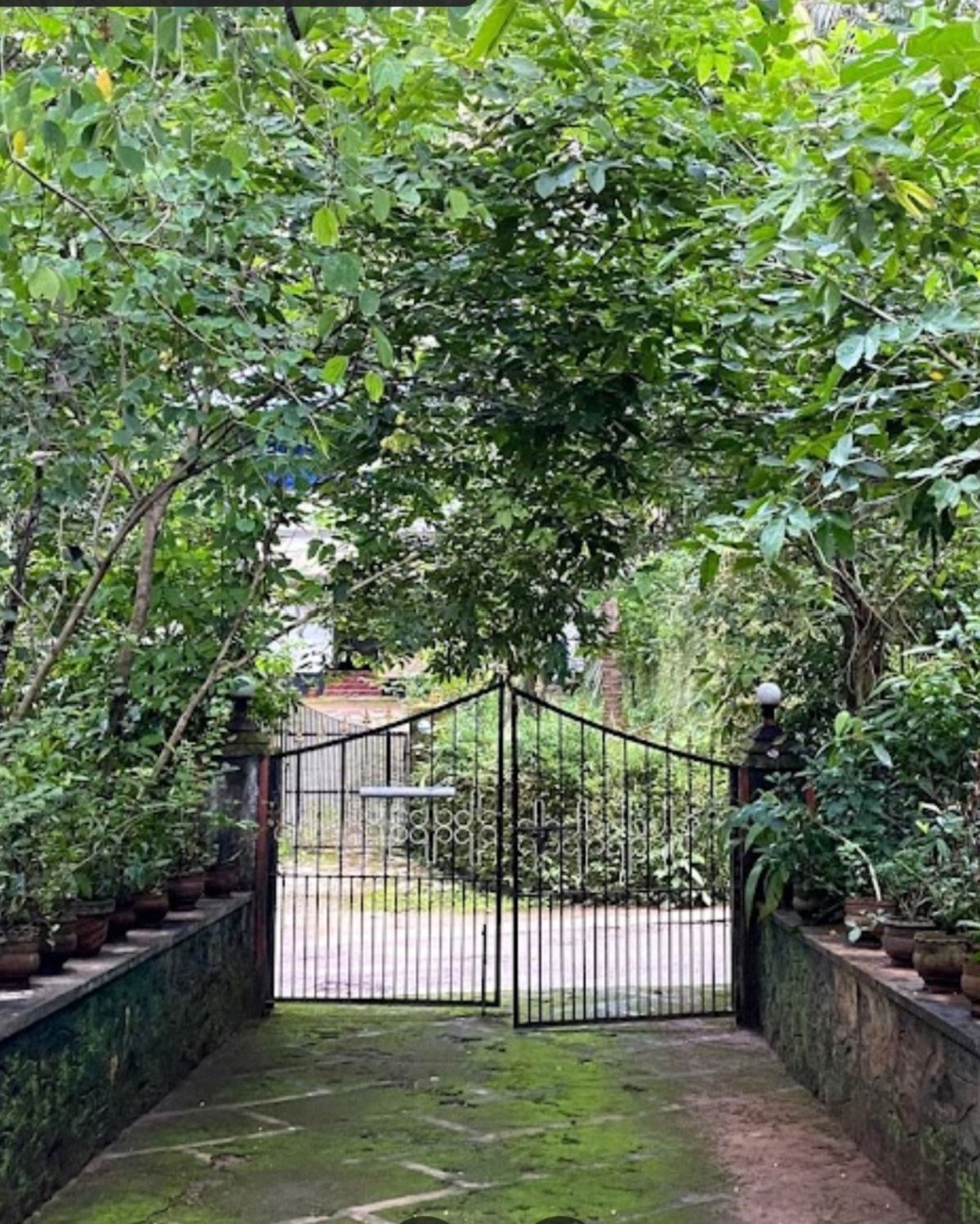 Hotel Kaiveli Road Po Cheekonnumal Kakkattil India nomad remote 361f242f-b9c2-4ed3-8311-a2ad5de30b54_3.jpg