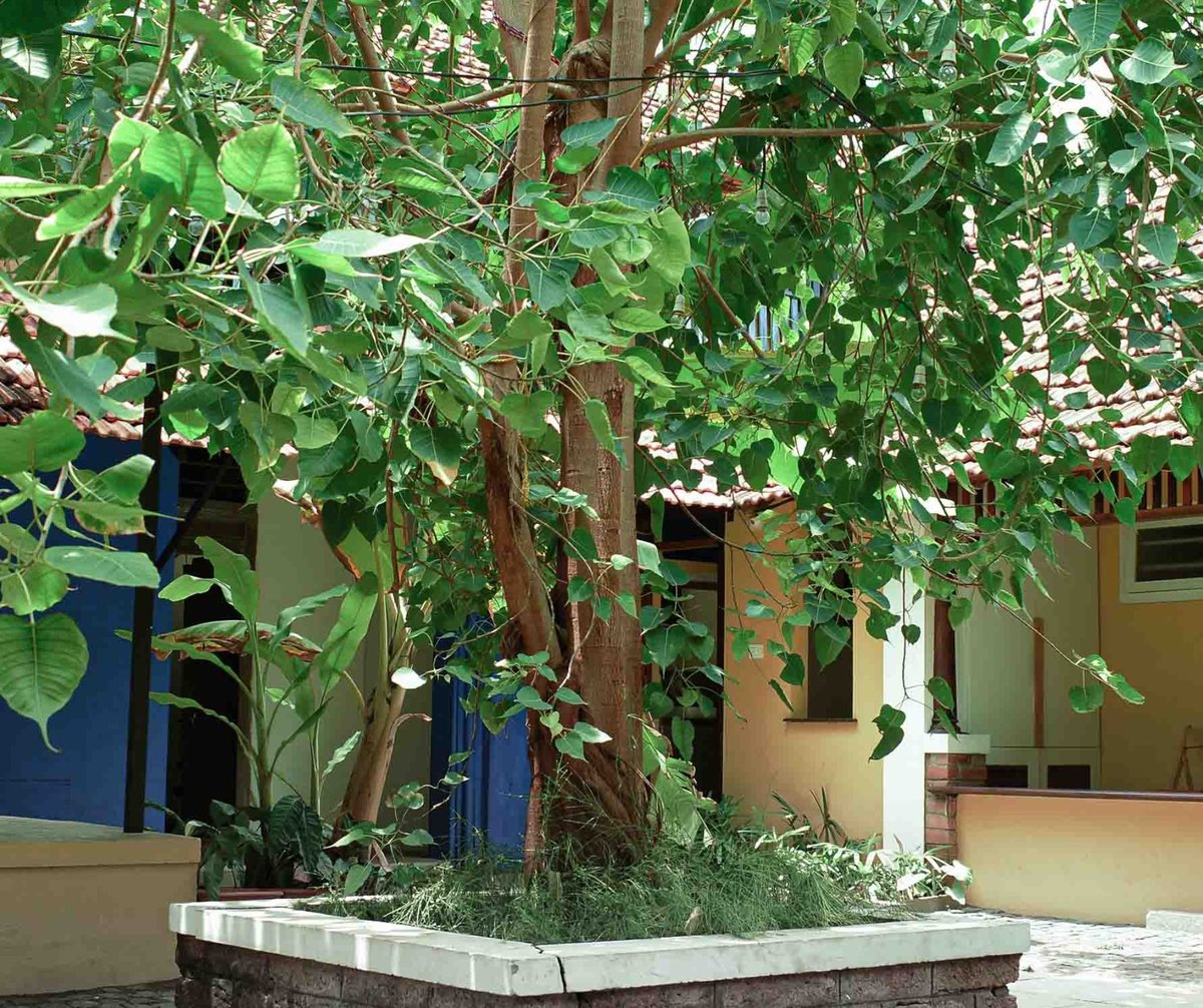 Hotel Kozhikode India nomad remote 4a6b6953-2543-4603-a074-d5b1ae7ebc87_Design Ash JPEG Resize photos (2).jpg