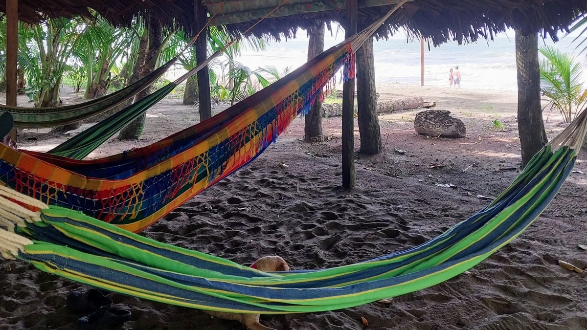 Hotel Cocle del Norte Panama nomad remote fef97aef-ada4-40de-9ea1-1cdadfef04f7_hammocksinrancho.jpg