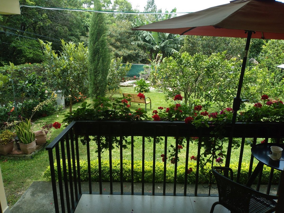 Hotel Boquete Panama nomad remote 1a04fc6b-54f5-4386-93a1-fa0a9cad9fcc_20220710115150.jpg