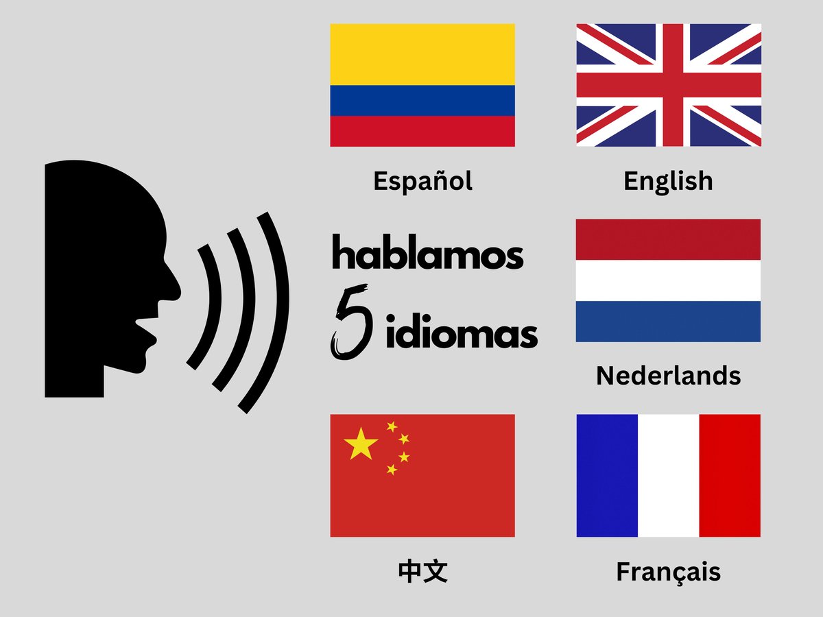 Hotel Palomino Colombia nomad remote 187f1c9c-fef7-4411-b39e-06fd43a34c1b_5languages.jpg