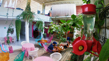Casa Colibri Palomino workspace image